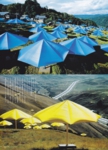 201107-28-67-e0132167_1542888.jpg